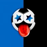 immagine Tingilingua