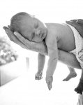 immagine Newborn