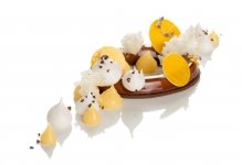 immagine RICCARDO MAGNI EDITORIALI PUNTOIT