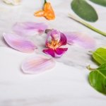 immagine Fusione Inversa - tecniche di decorazione