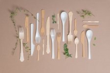 immagine Jungle - Dampe