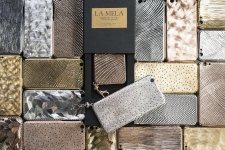 immagine LA MELA COVER