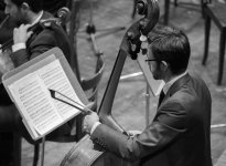 immagine GRANGALA' CURE PALLIATIVE