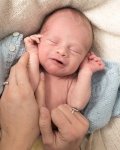 immagine Newborn