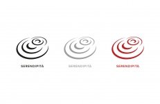 immagine SERENDIPITA