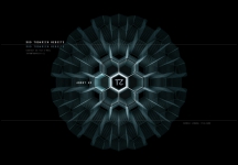 immagine WWW.TOBARICH.CL